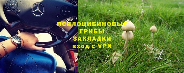кокаин перу Заводоуковск