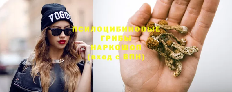 Псилоцибиновые грибы Magic Shrooms  Инсар 