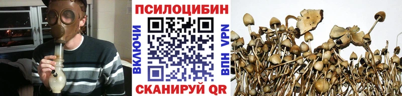 Галлюциногенные грибы Magic Shrooms продажа наркотиков маркетплейс формула Инсар